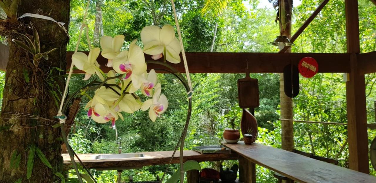 Pousada Vertente Das Aguas Lumiar Ngoại thất bức ảnh